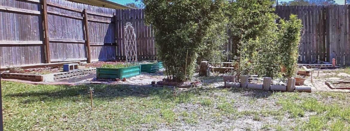 Thinking about getting a greenhouse soon, have to finish clearing area first and need some advice maybe Thinking about getting a greenhouse soon, have to finish clearing area first and need some advice maybe