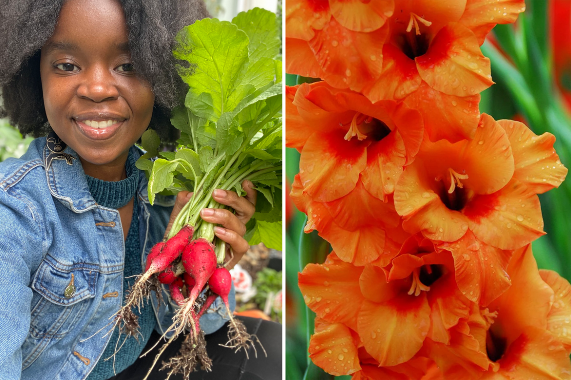 What to plant in April, according to gardening experts