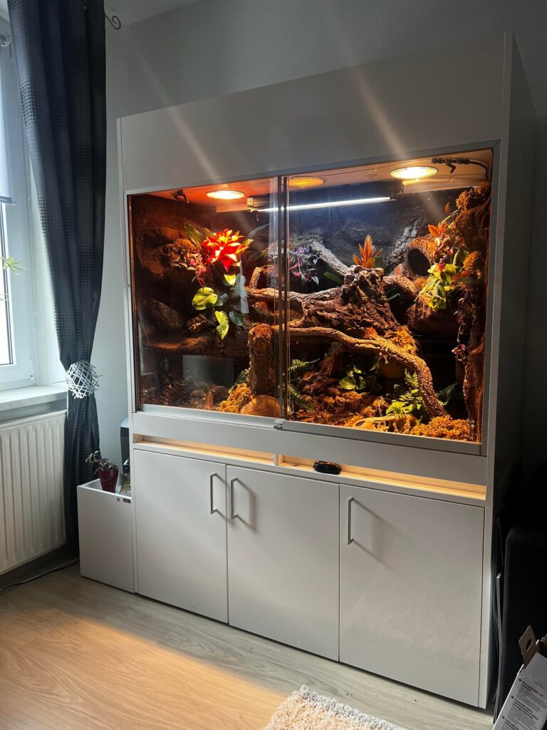 From empty tank to bioactive leachie enclosure – full build process