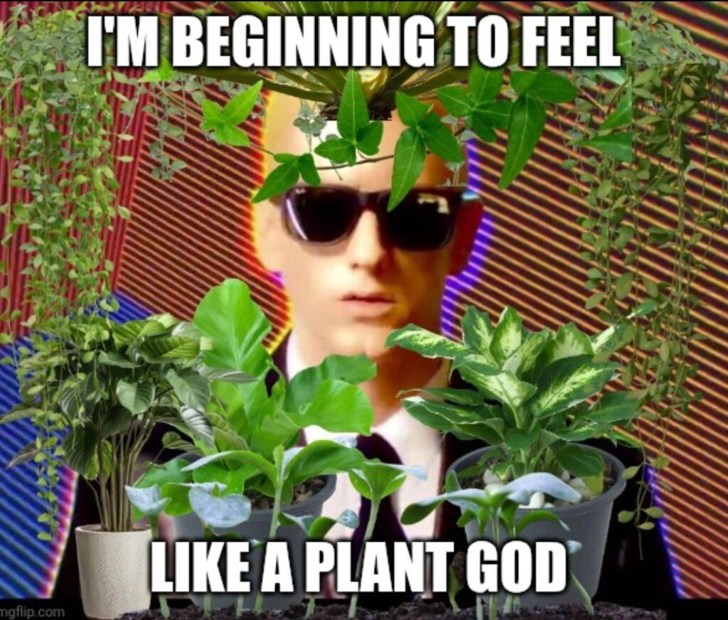 Plant God 🪴🌵🌿