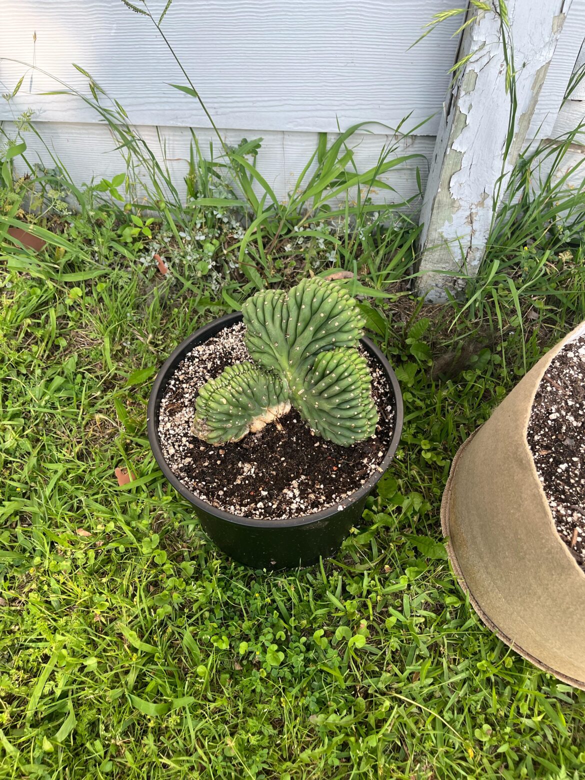 Check your local Home Depot!