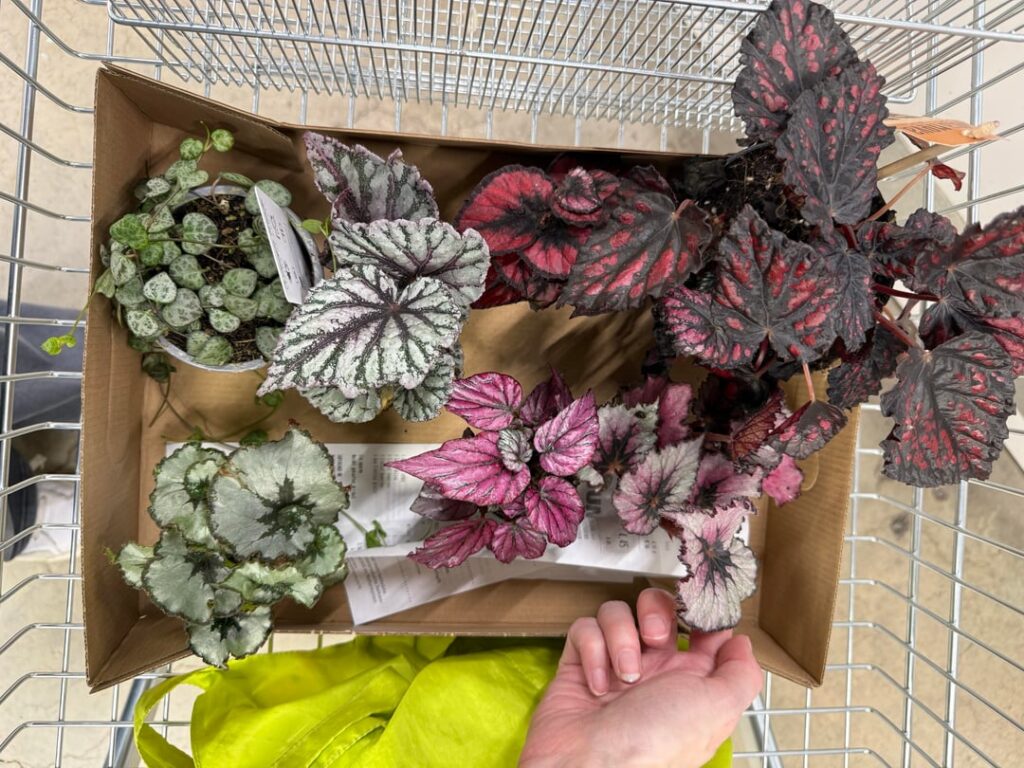 Scored these for $30, help me ID