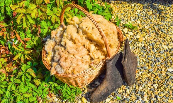 Picture of a basket of wool in a garden Picture of a basket of wool in a garden