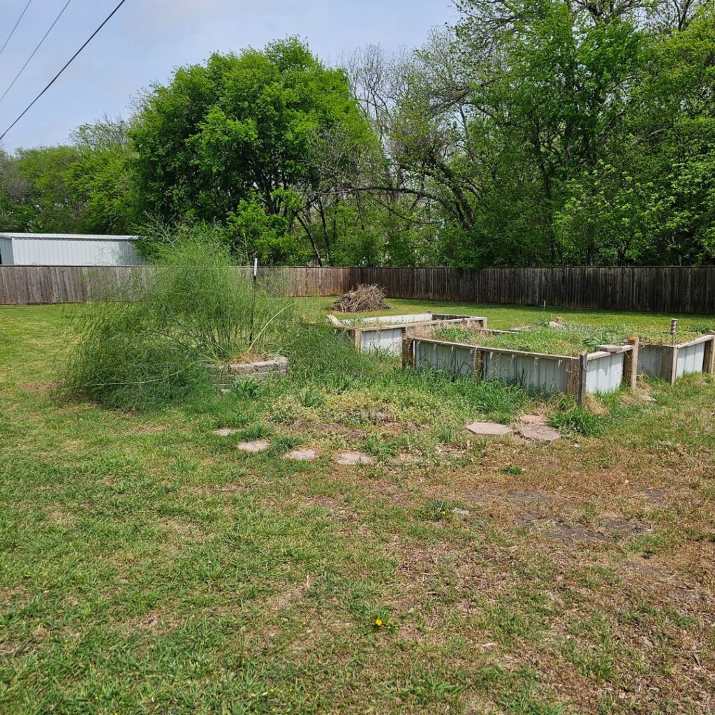 Overwhelmed with Asparagus / Raised Garden revive