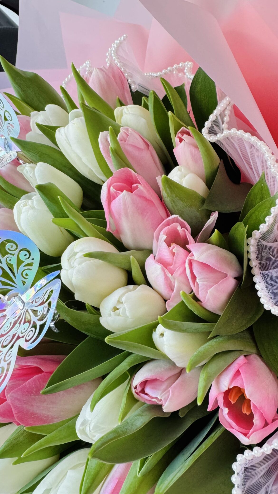 Can’t get over how perfect these pastel tulips look together. What do you think?