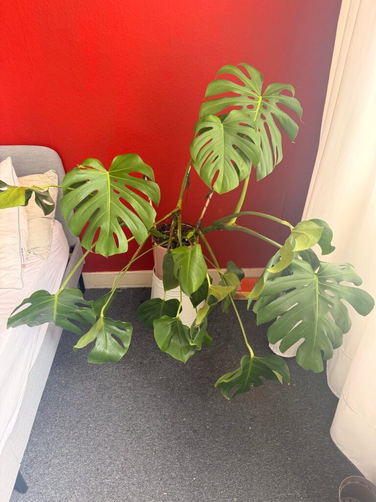 This is embarrassing, but I need advice