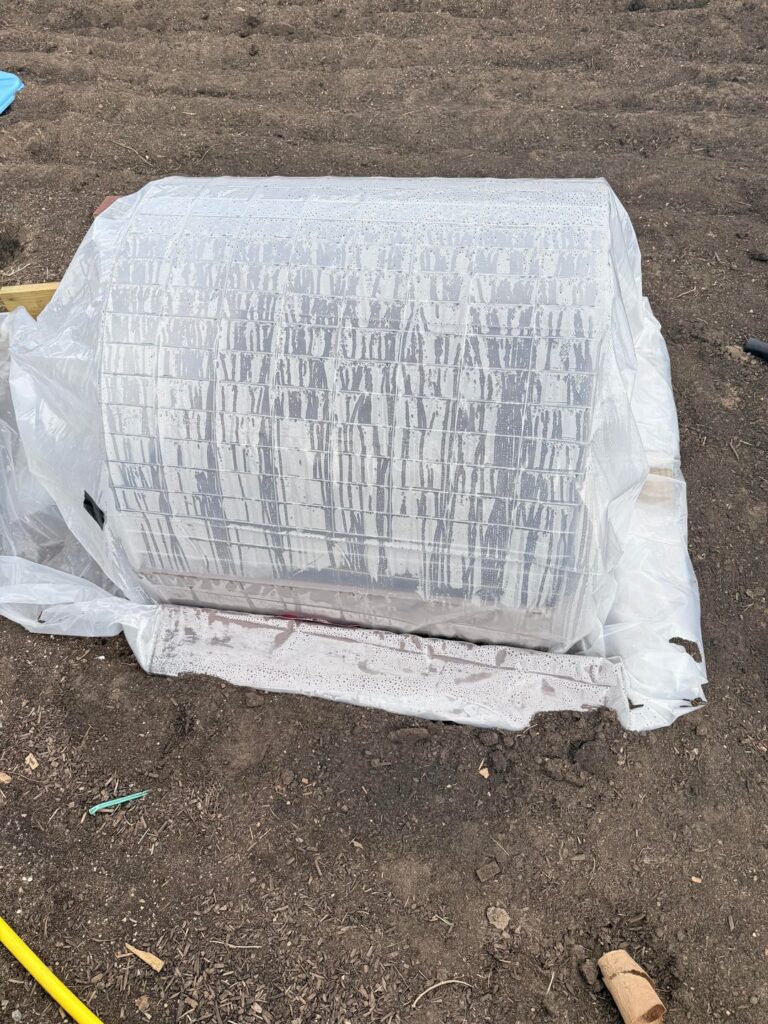 Transplant failure