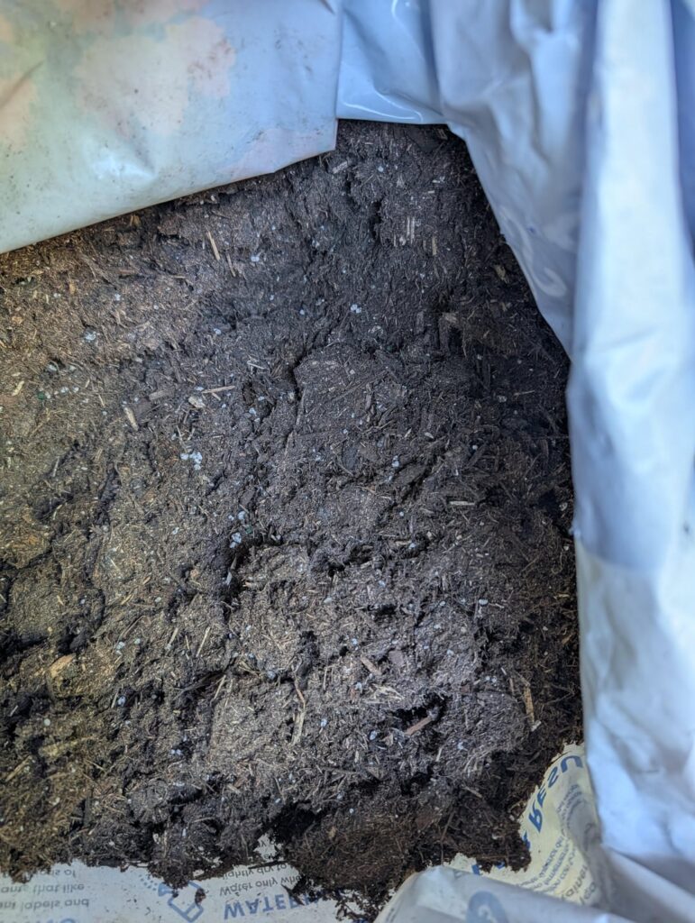 Not good potting soil