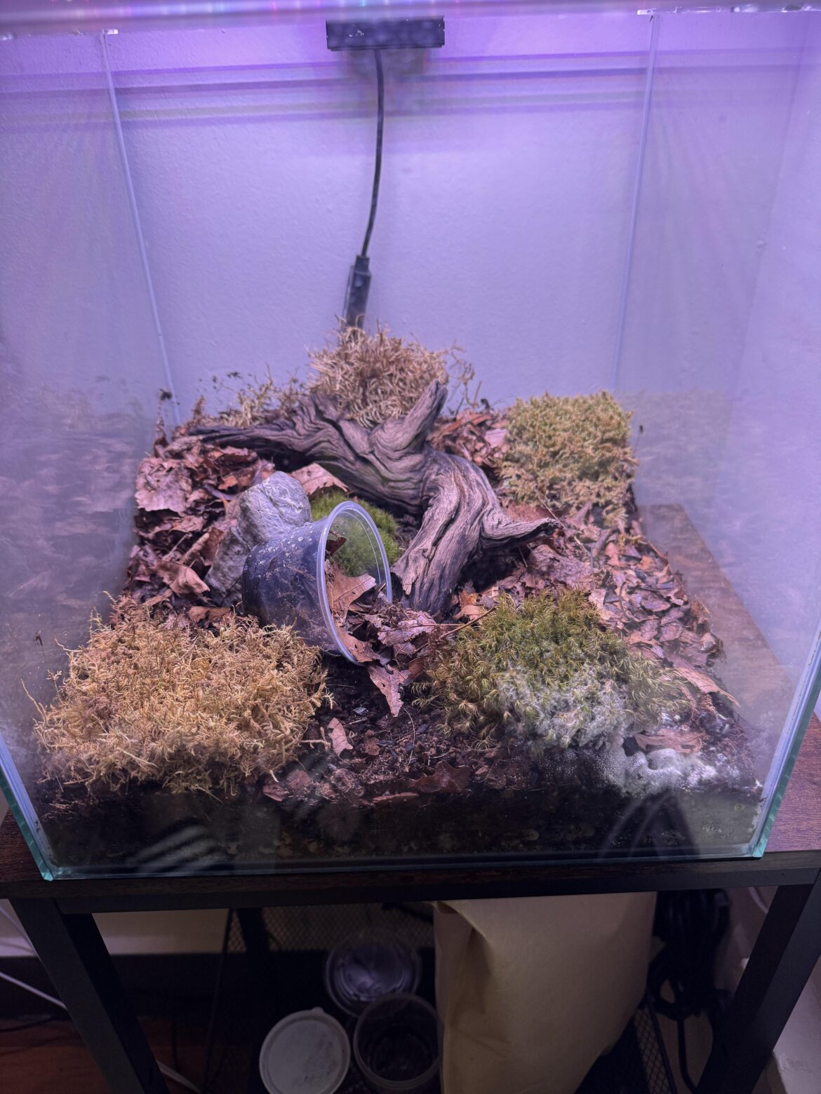 Struggling with mold