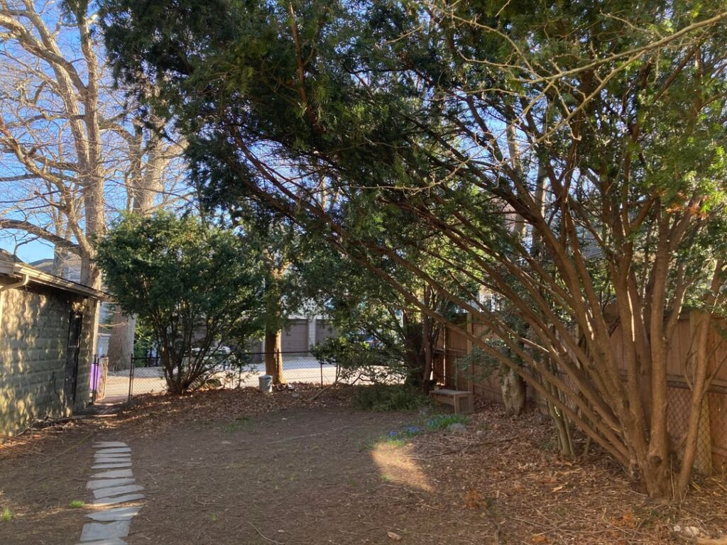 Renter trying to improve neglected yard – any advice wanted! (Northeast U.S.) Renter trying to improve neglected yard - any advice wanted! (Northeast U.S.)