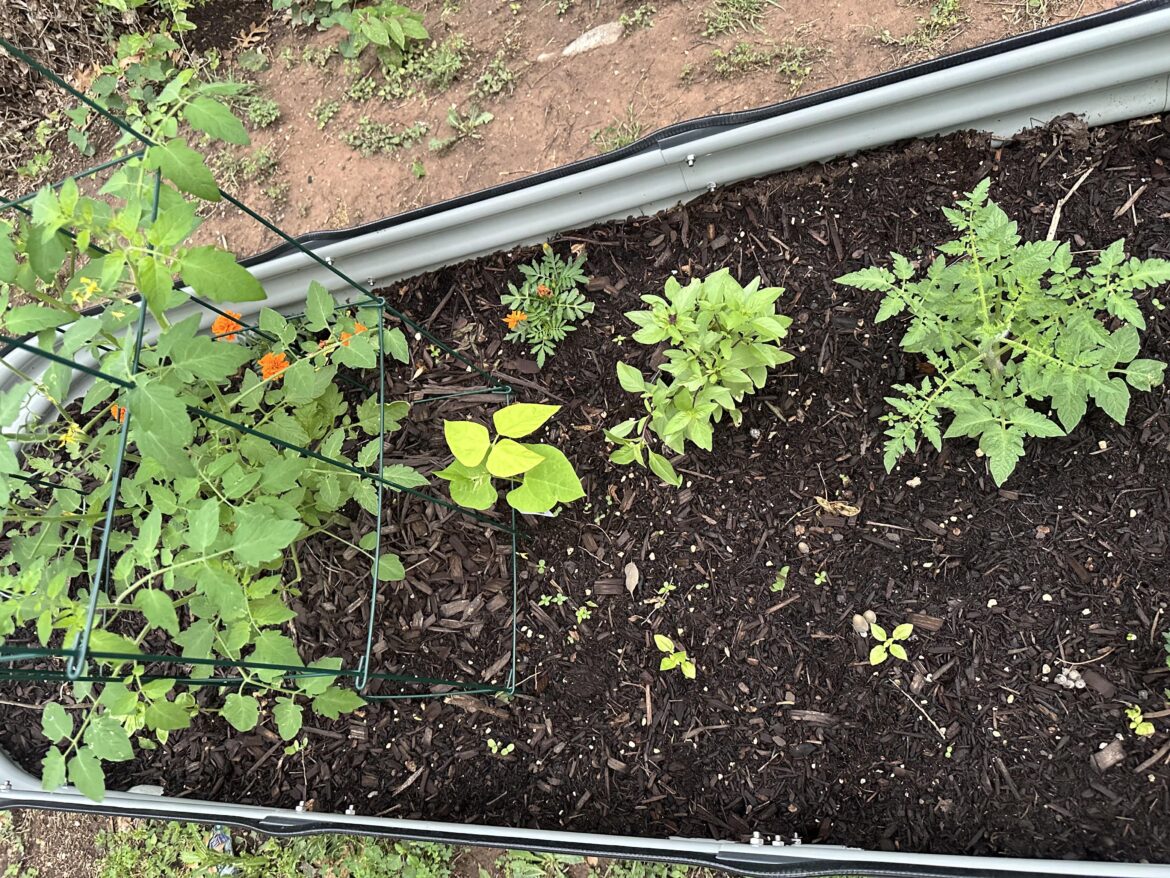 Newbie - going pretty well but…