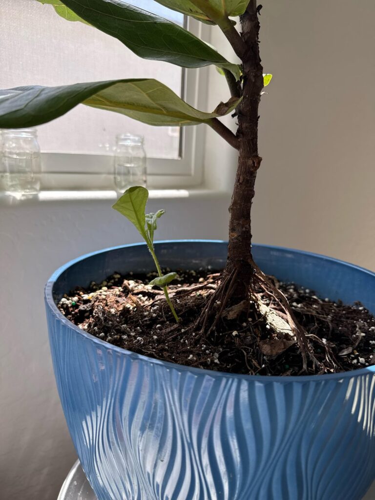 New here, need advice New here, need advice