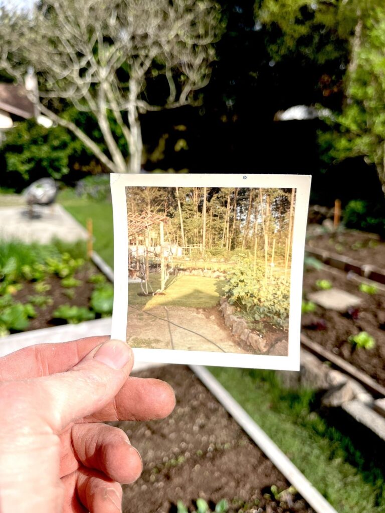 I’m gonna miss this old garden I’m gonna miss this old garden