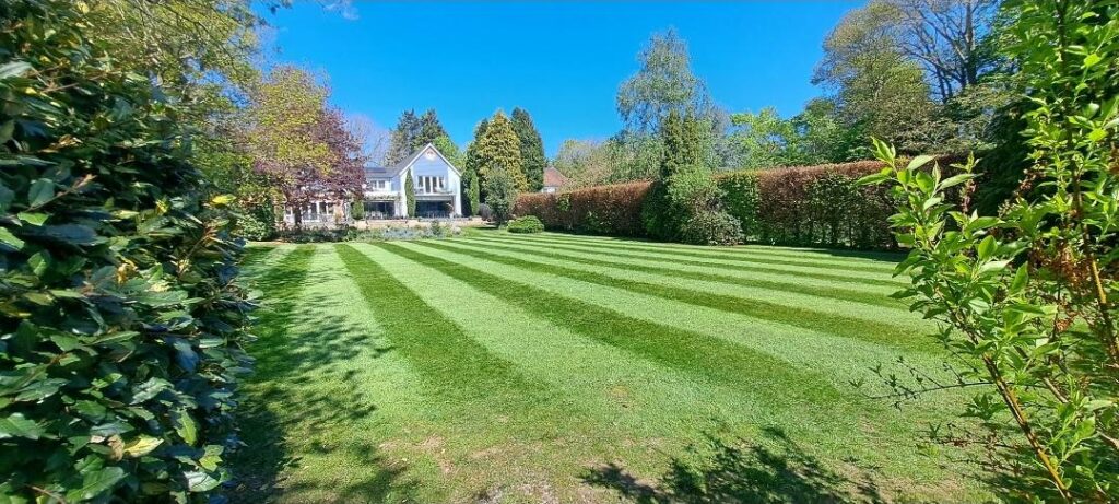 Freshly cut today