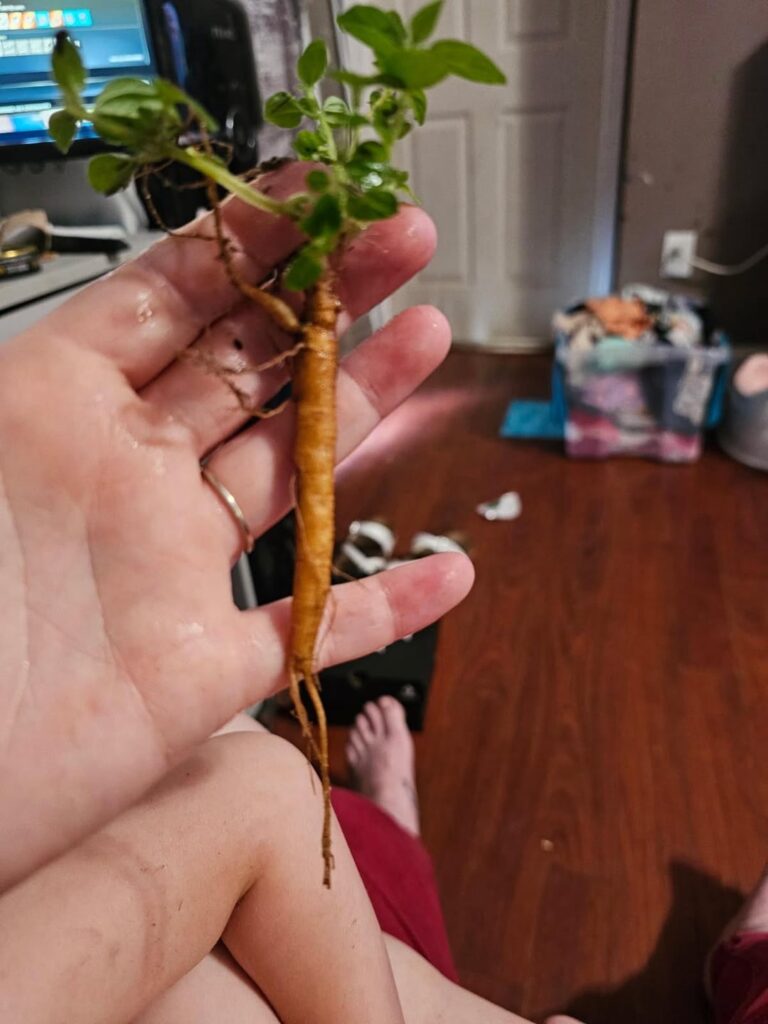 What is this?
