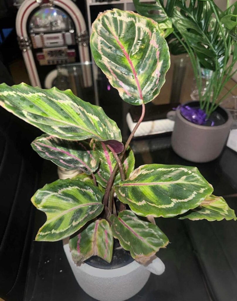 9 months progress