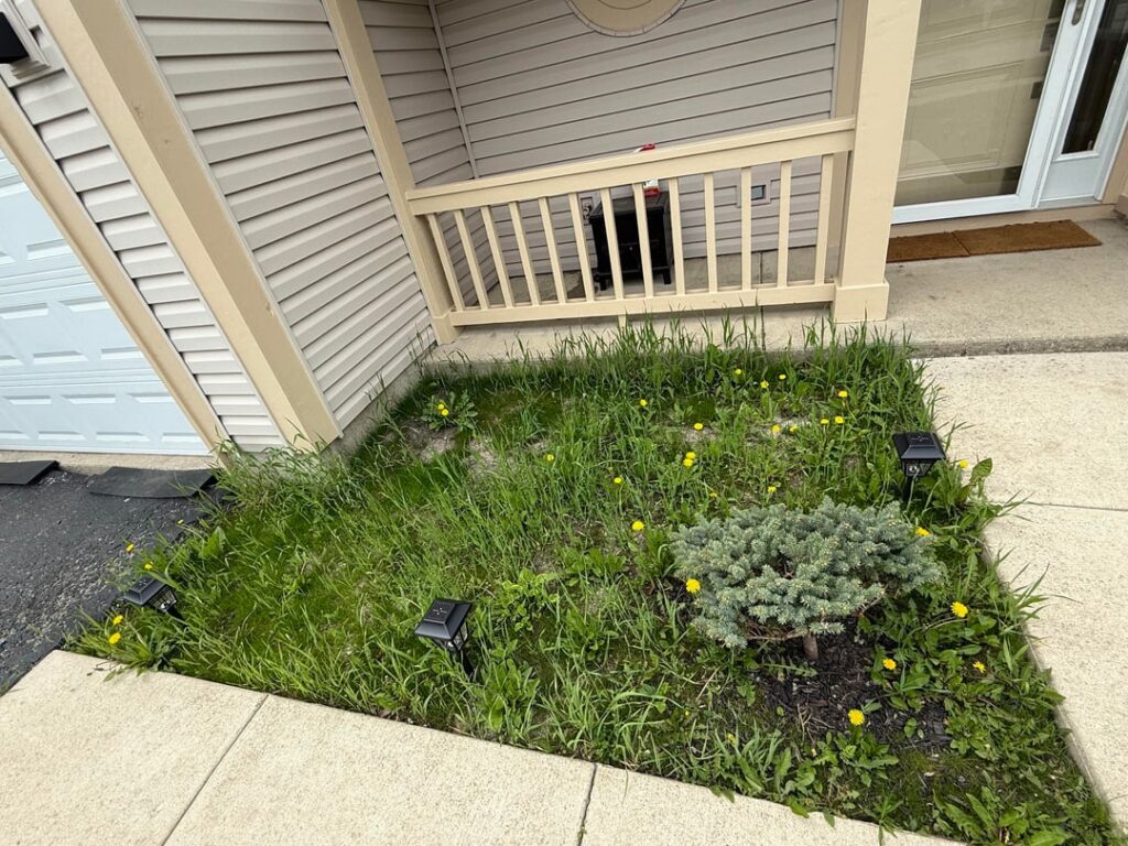 DIY front yard transformation DIY front yard transformation
