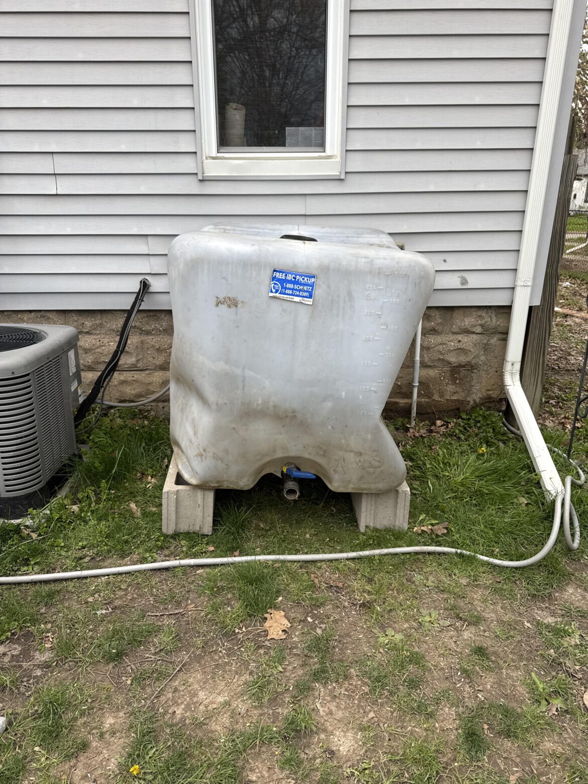 IBC tank for water collection? IBC tank for water collection?