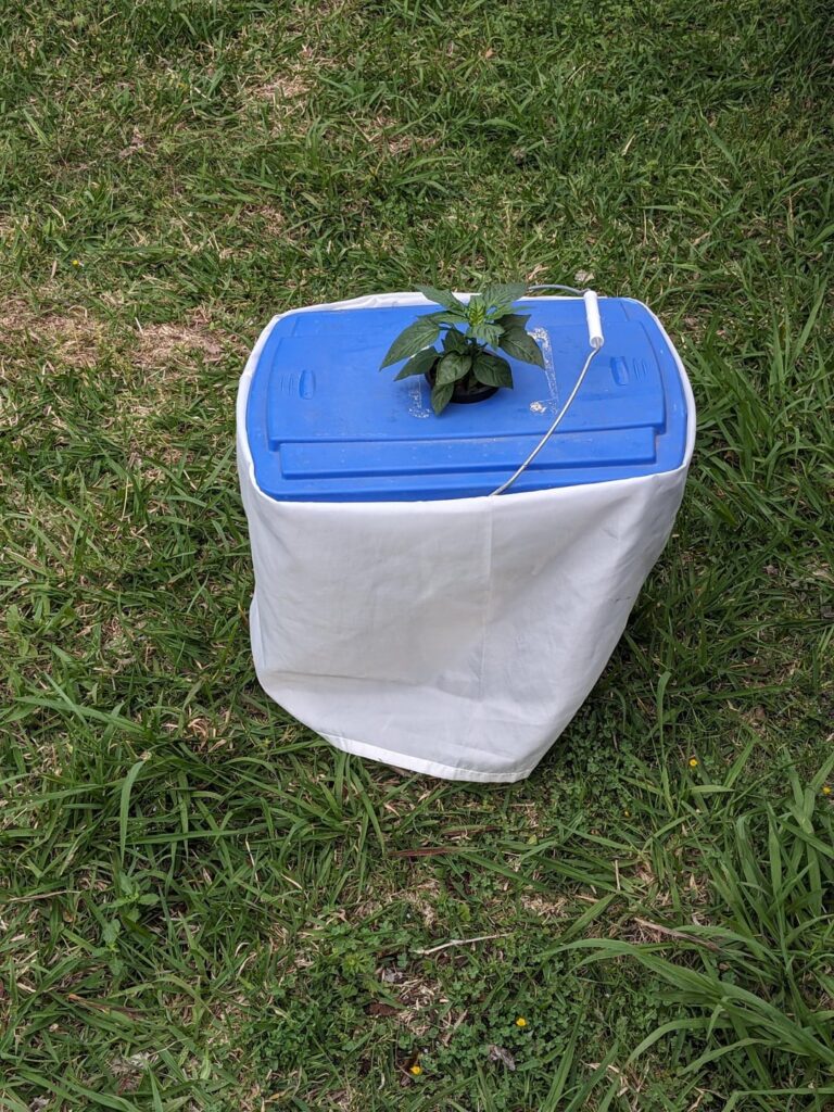 Two bell peppers in one net cup