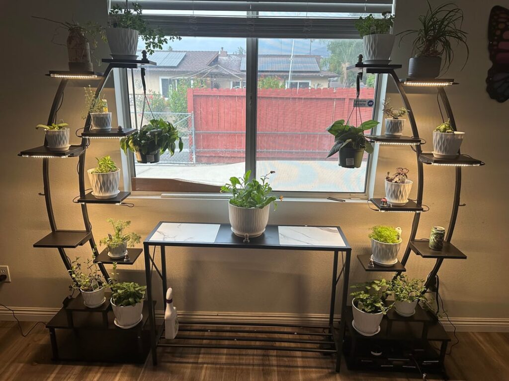 Need help reviving herbs