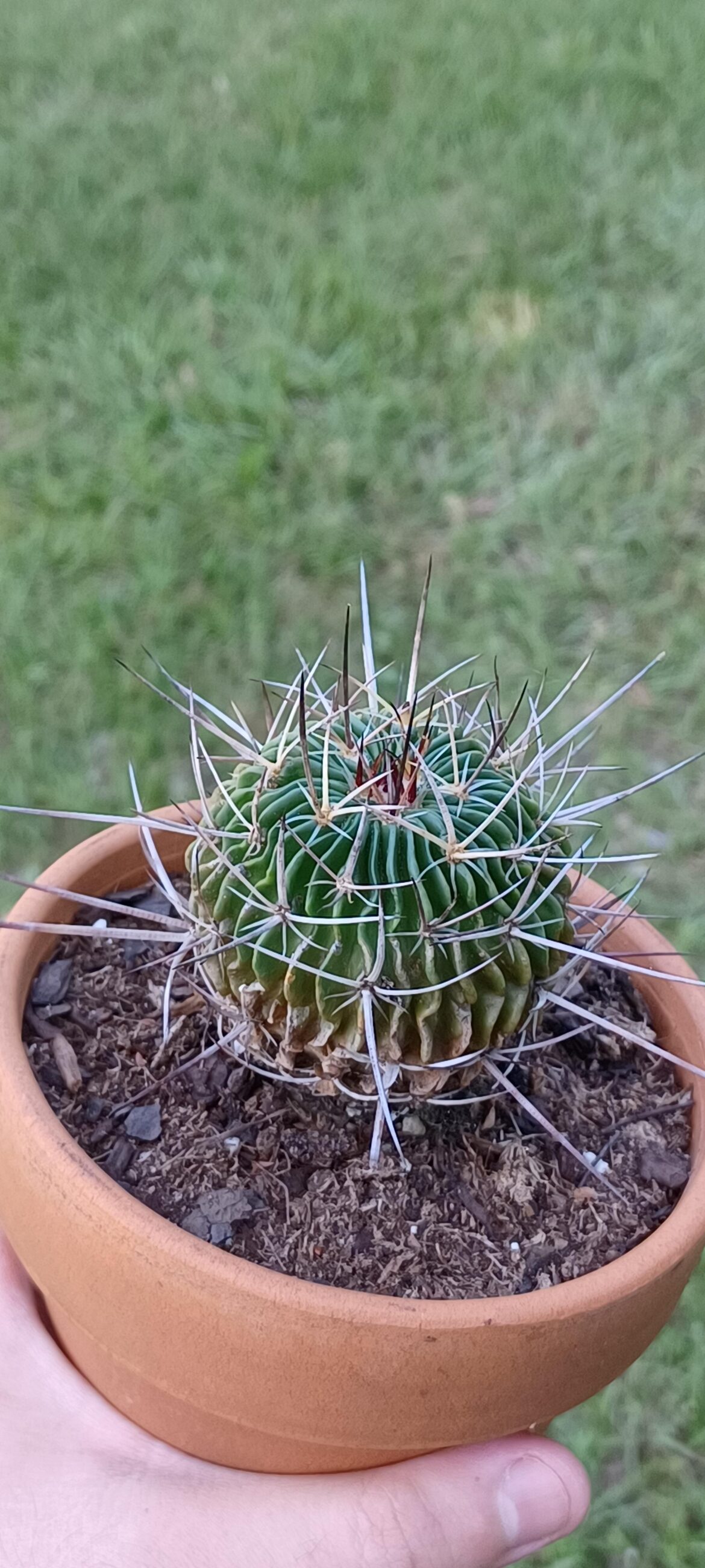 Can someone ID?