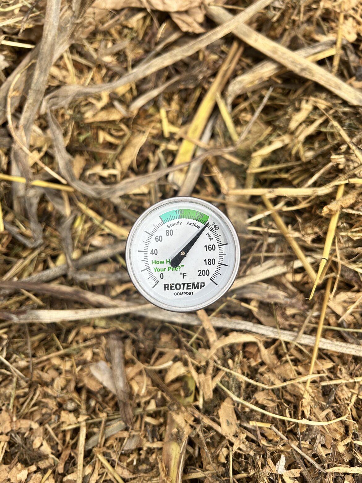 Finally hot!