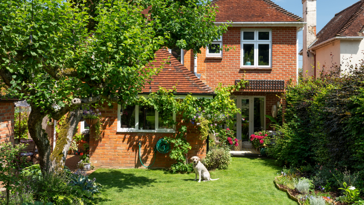 Gardeners with dogs warned of hidden danger in gardens