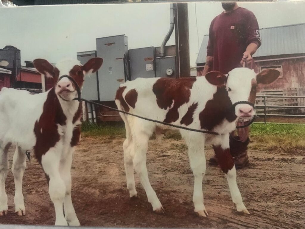 Little guys got big