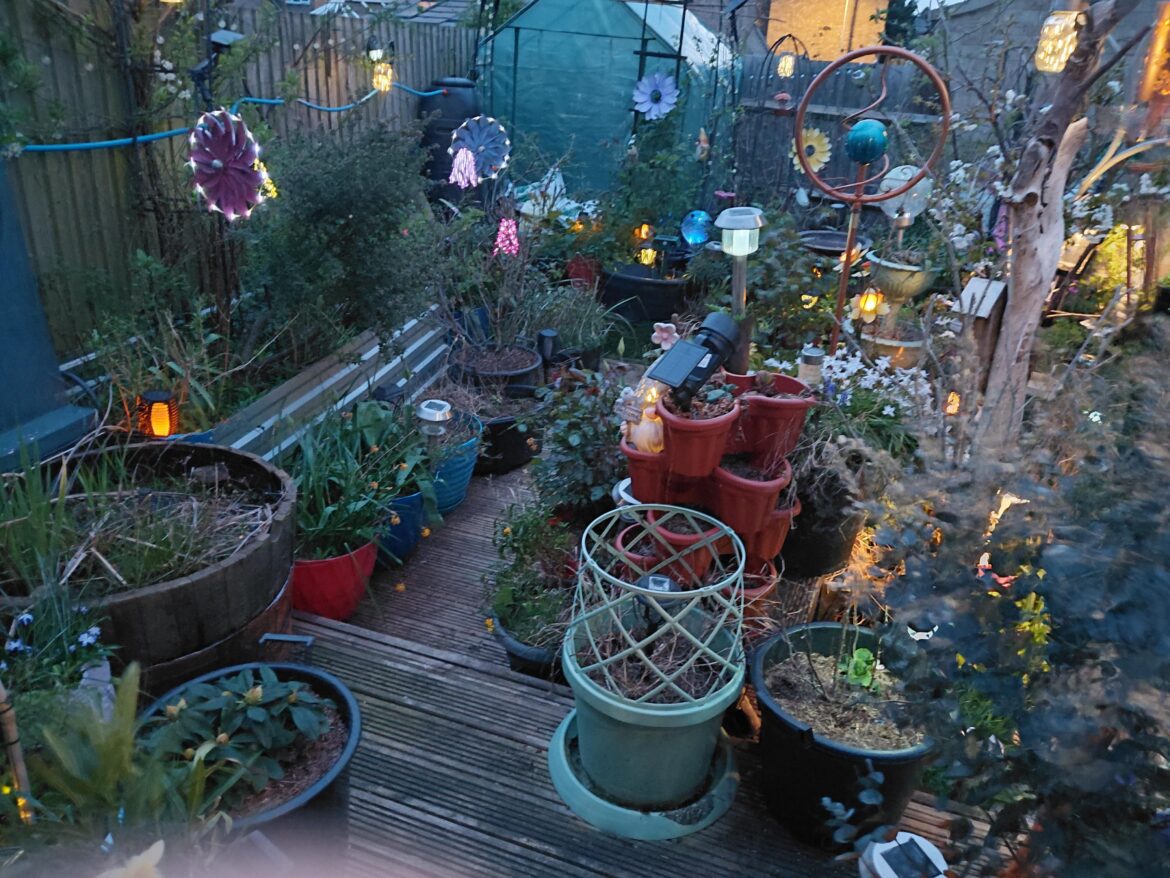 My Garden