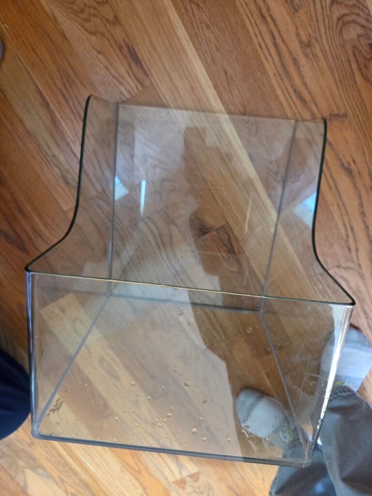 Just got a free paludarium set up, need advice starting! Thank you!!