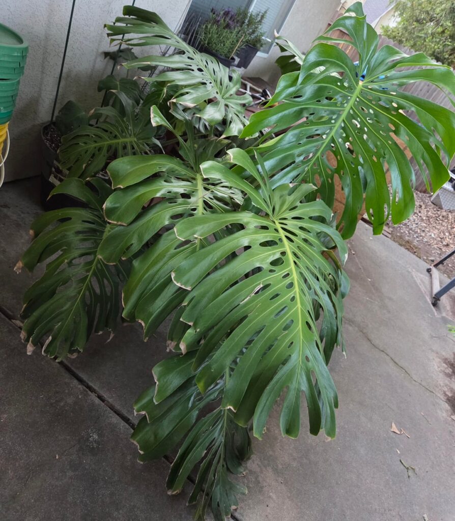 Help! What should I do?
