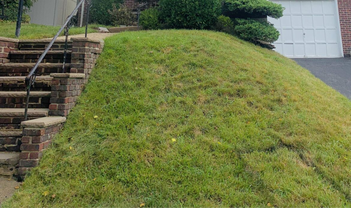 Slanted front yard Slanted front yard