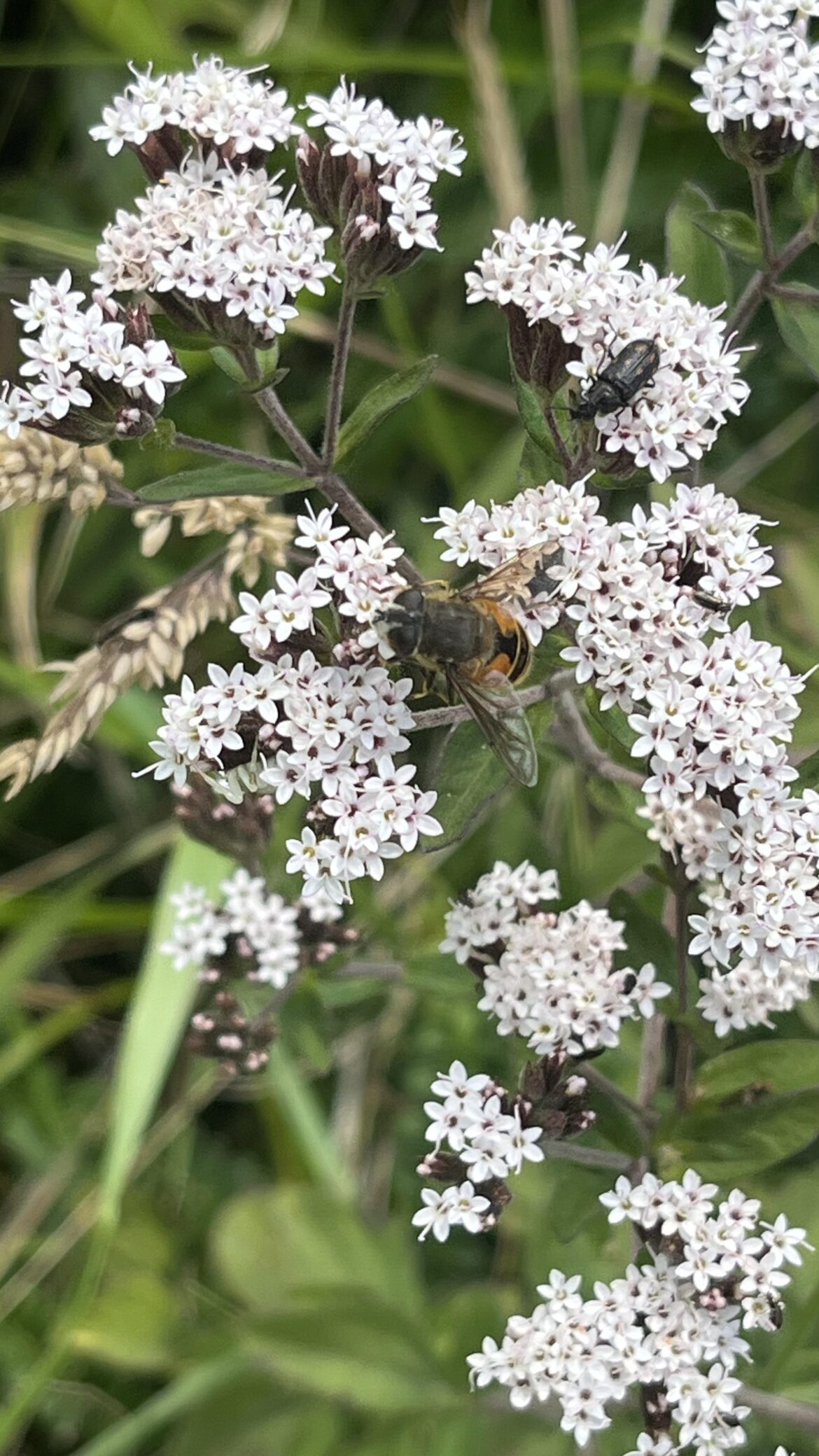 Una naturaleza hermosa