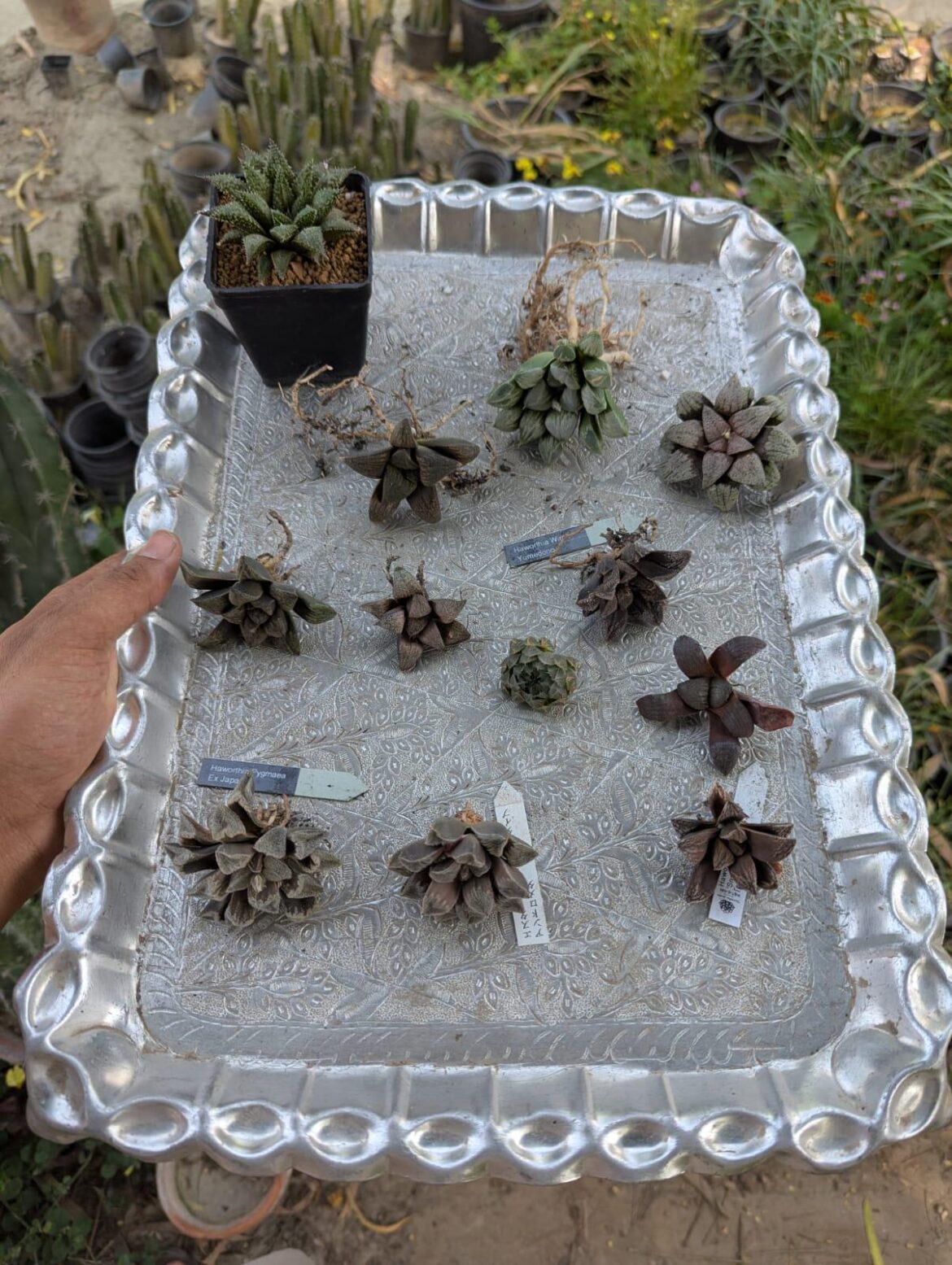 Some baddies own their way, who can ID them?