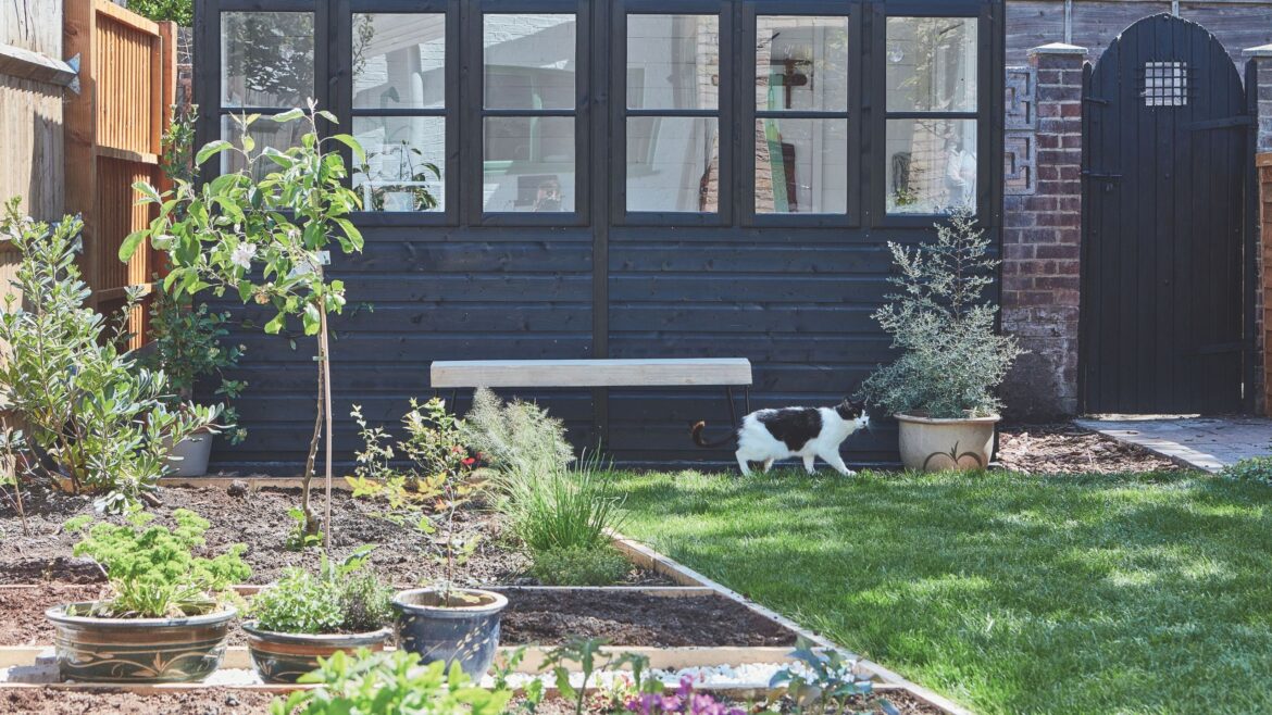 How I'm protecting birds from cats in my garden gently