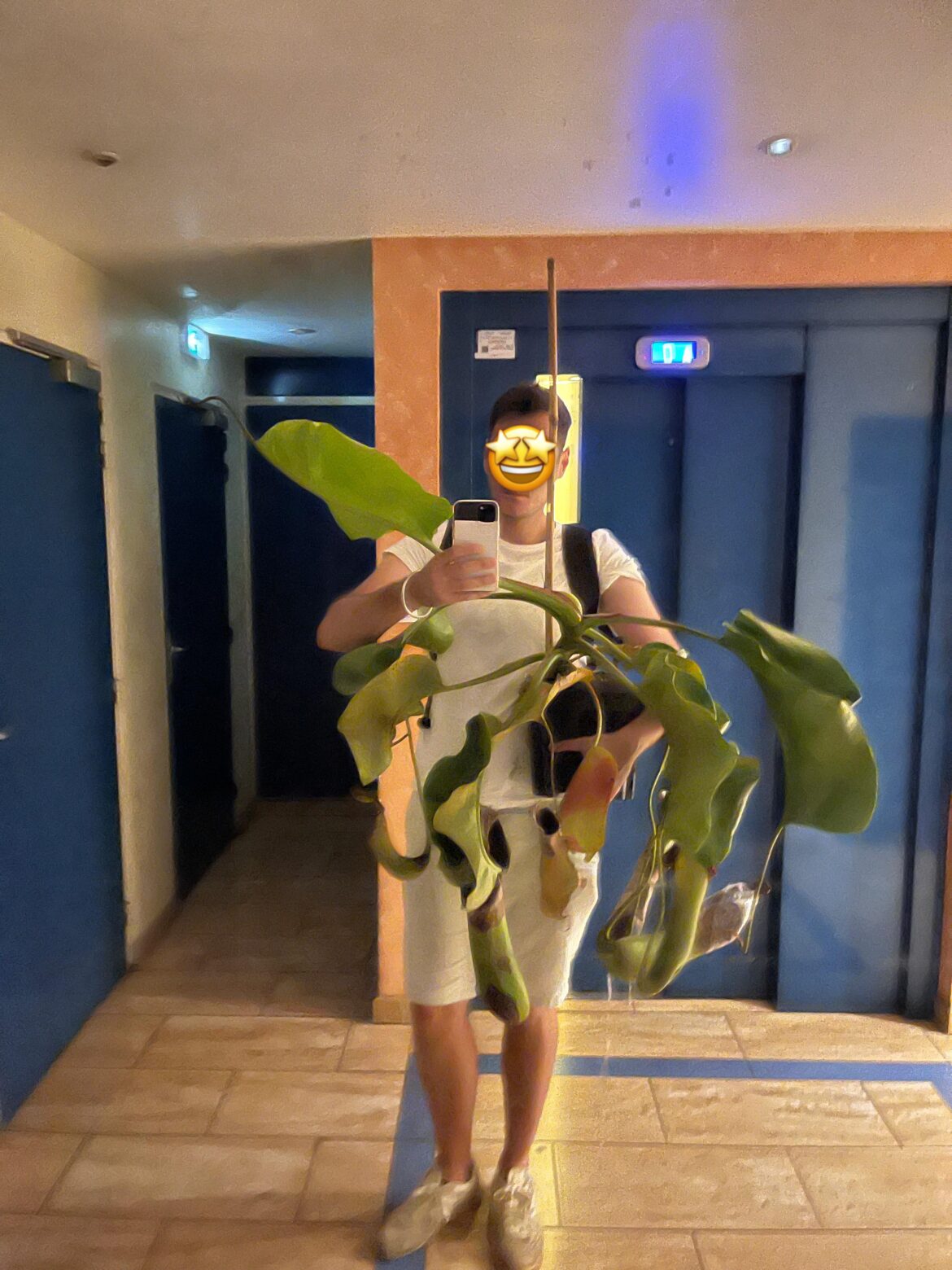 Truncata Owner problems