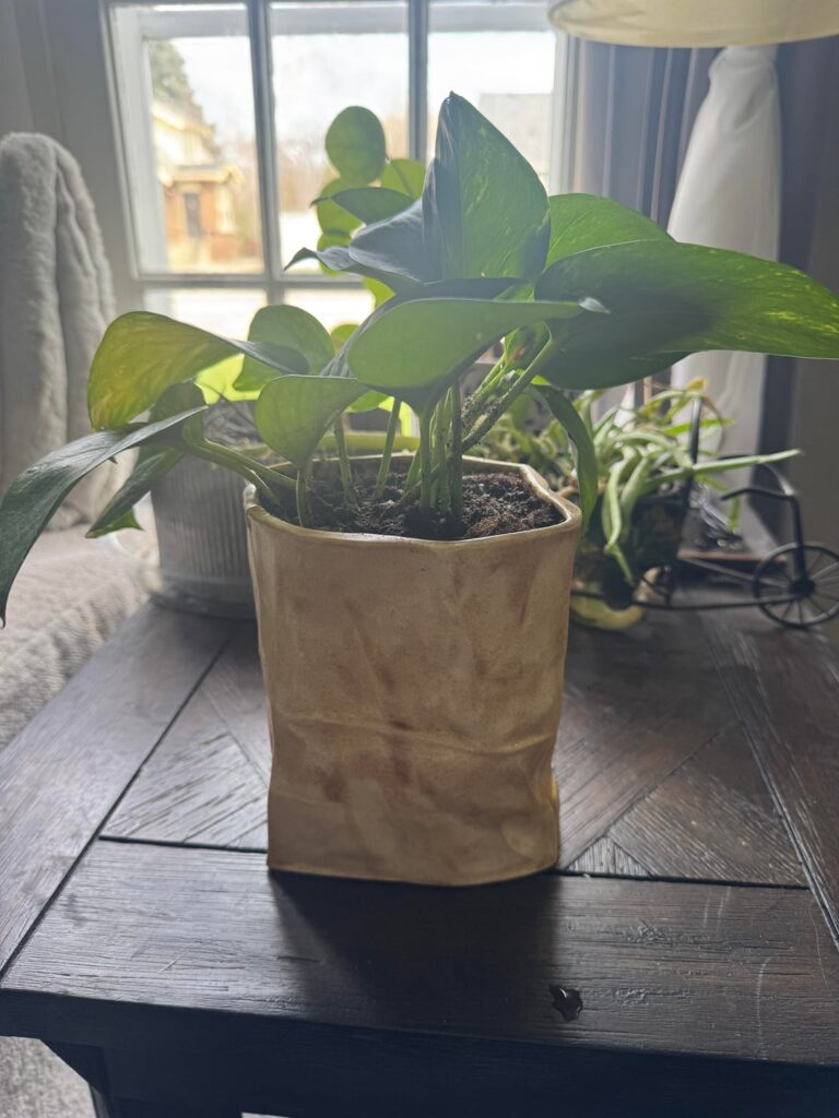 Recently my mom passed and I found this cool ceramic at her house so I turned it into a pot!
