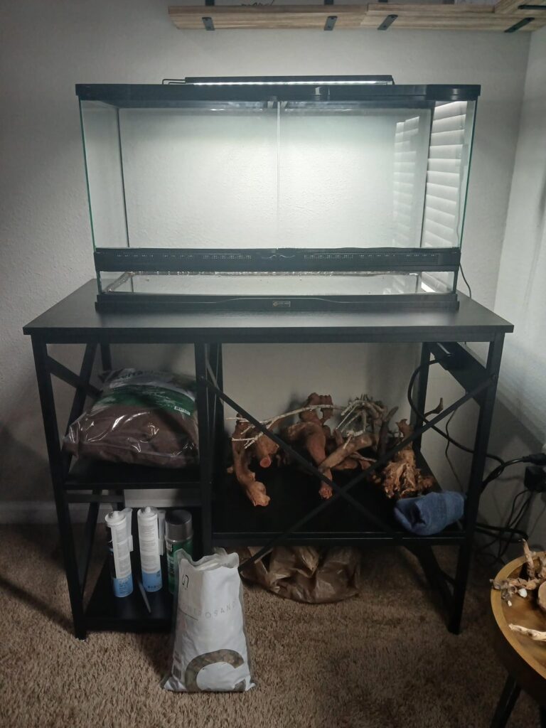 Preparations for an upcoming pseudotriton ruber paludarium Preparations for an upcoming pseudotriton ruber paludarium