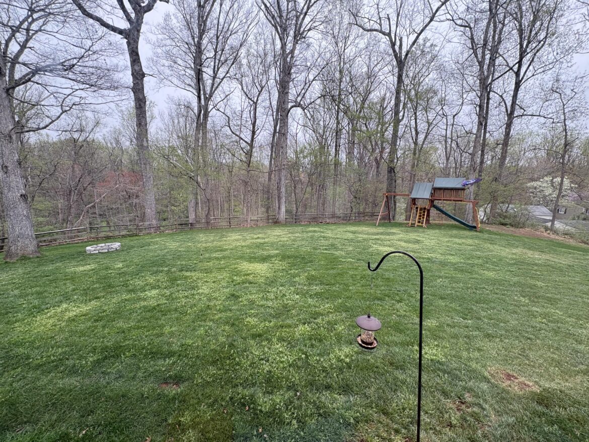 Poa Annua. I need help. Bad.