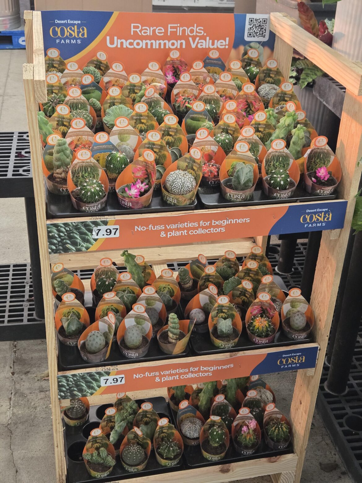 Noblesville, IN walmart got a fresh shipmint!
