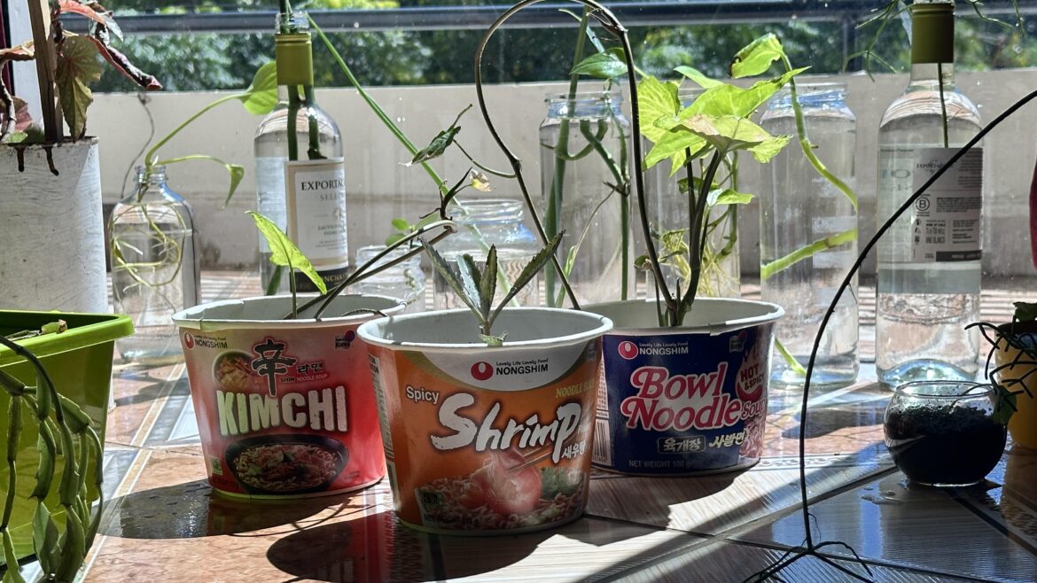 I ran out of planters