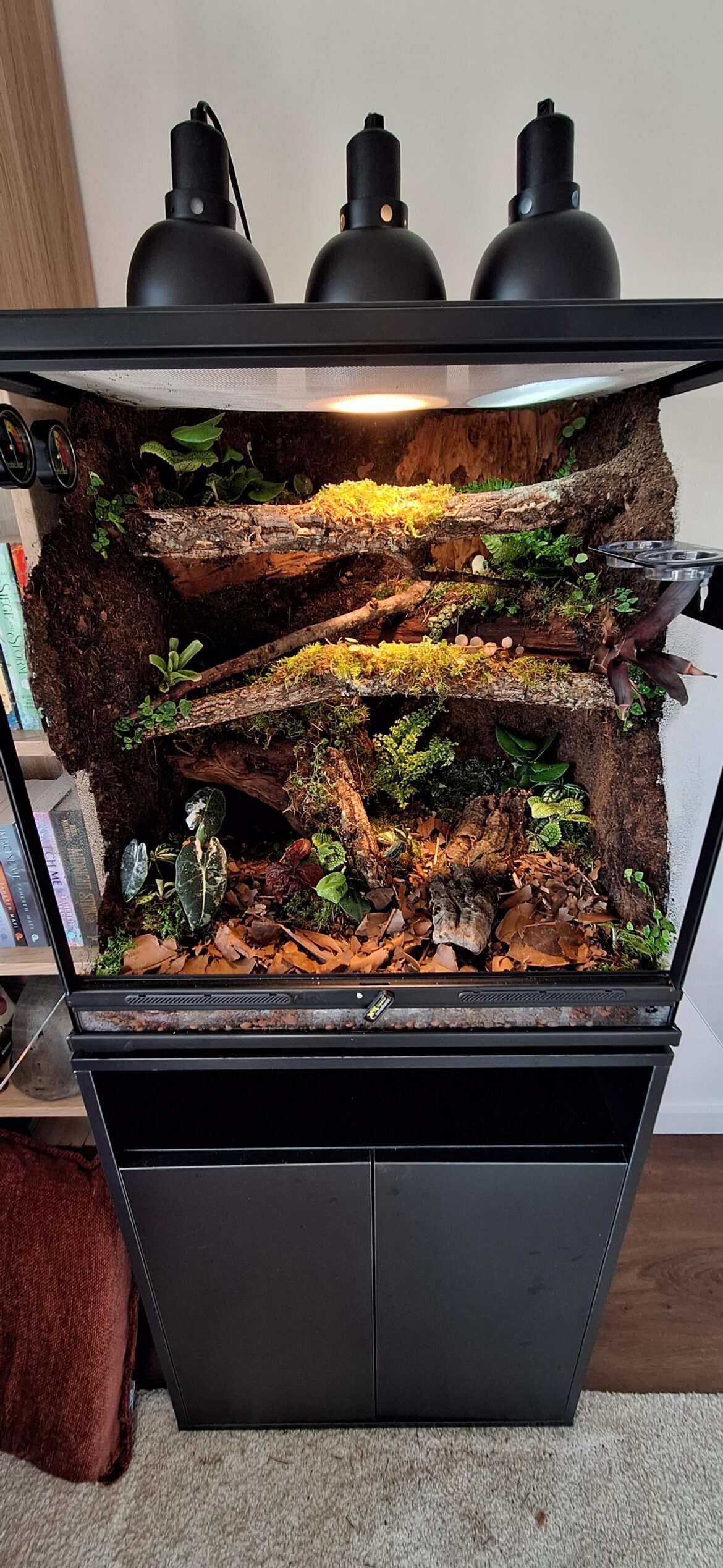 How to plant denser