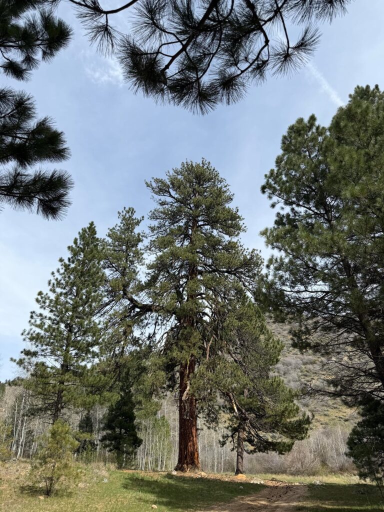 Is this the beginning of the end for this giant?