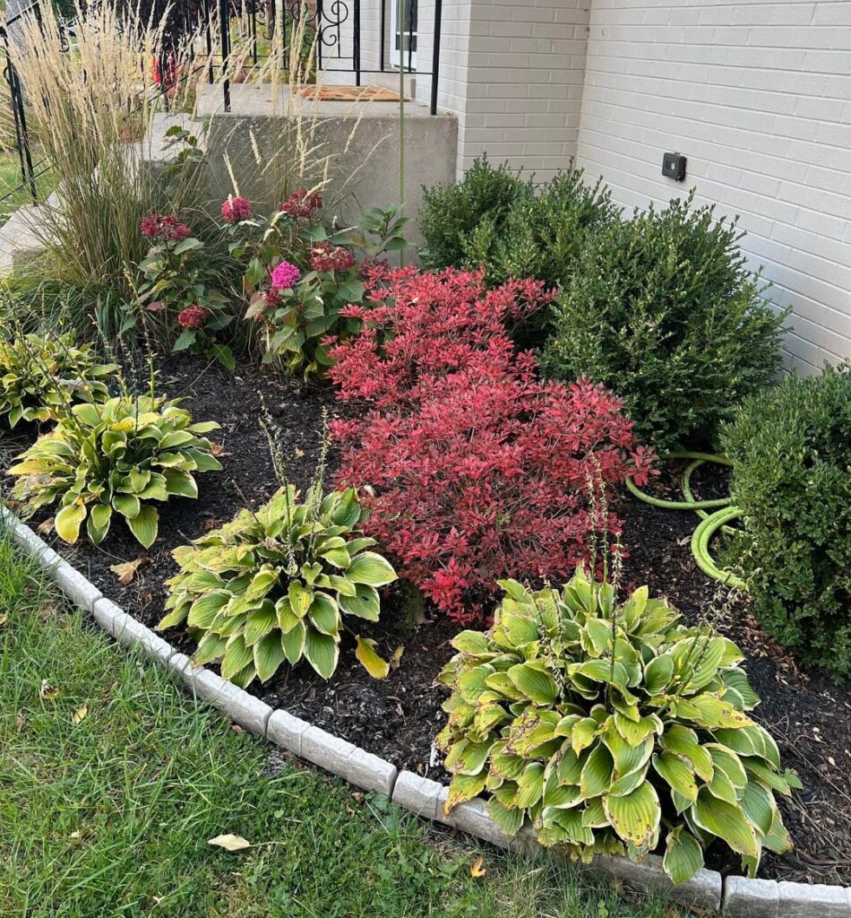 Garden Bed Garden Bed