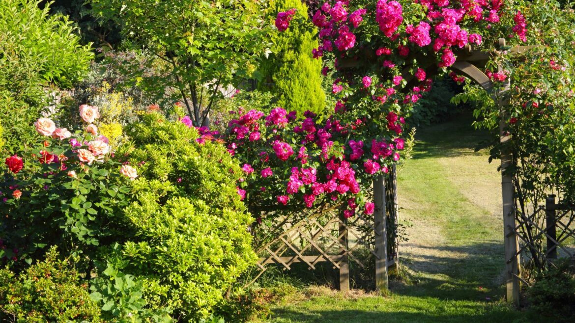 This Lidl Livarno Trellis is the Small-Space Savior You Need Garden with wood trellis and roses growing over an arch