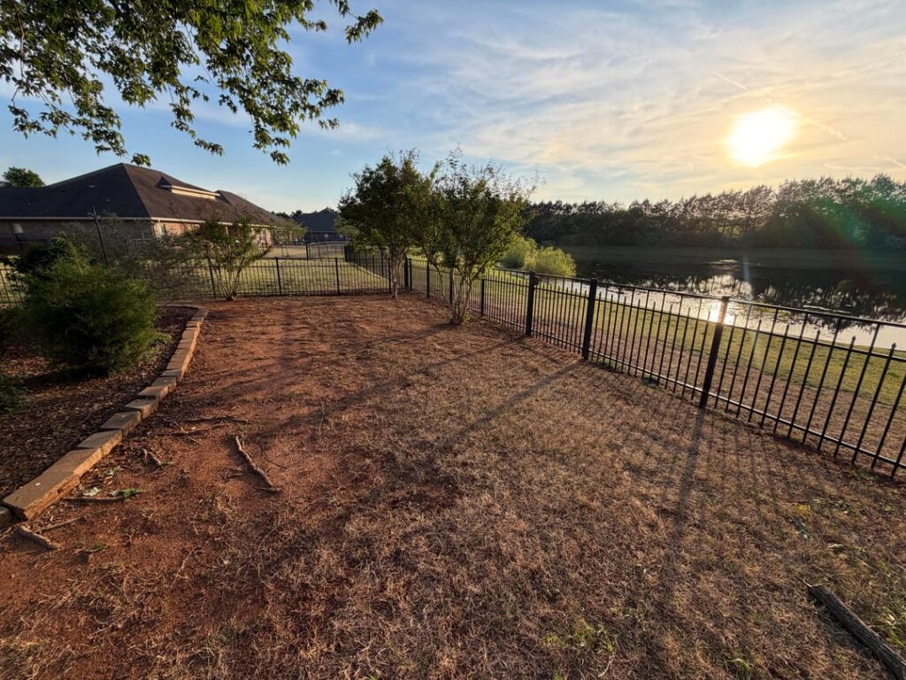Need Help and Ideas for Eroding and Compacted North AL Yard