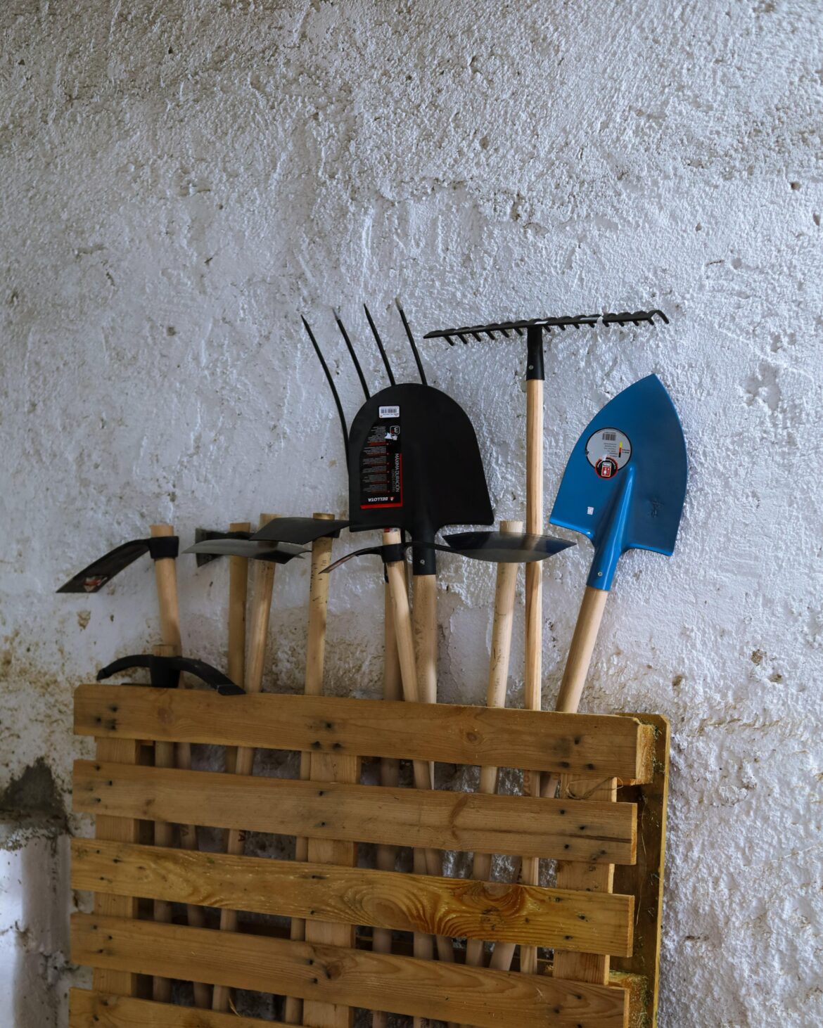 I bought a new pair of gardening tools for my herbal garden 😁
