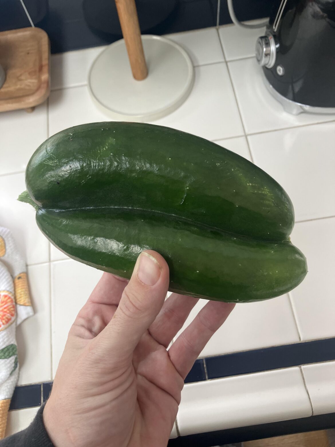 Weird cucumber I grew