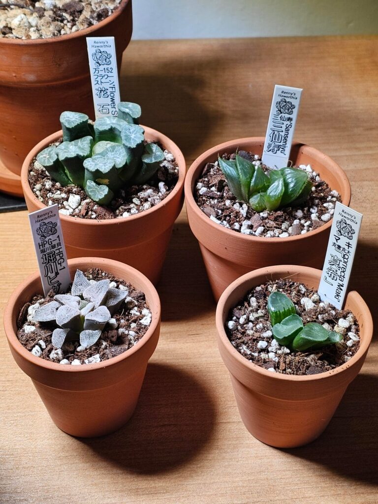 Plant mail!