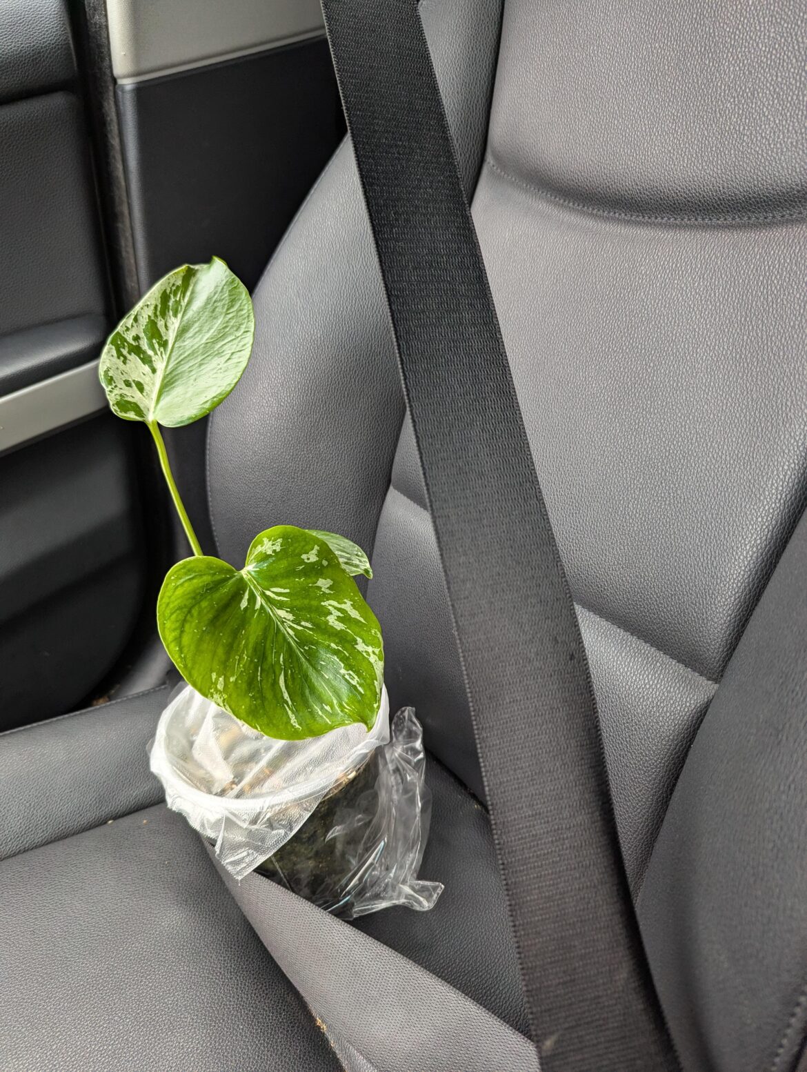 Safety first!